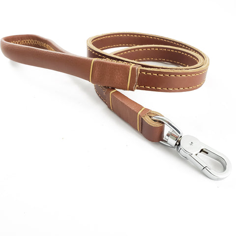 Dog Leash
