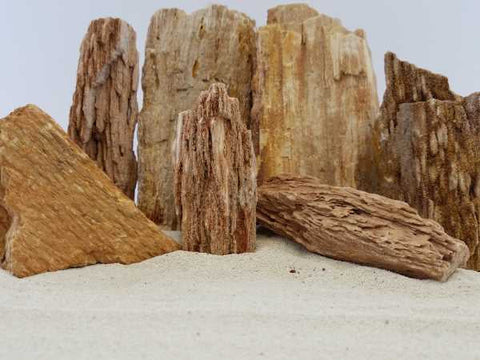 Rock & Wood