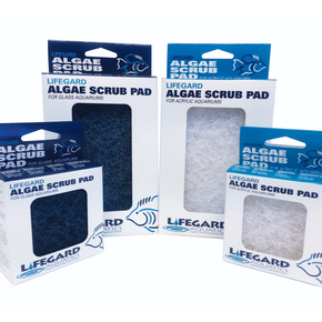 3" x 4" BLUE ALGAE PAD Glass aquariums.