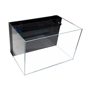 4 Gallon Ultra Low Iron CRYSTAL Aquarium with Built in Back Filter